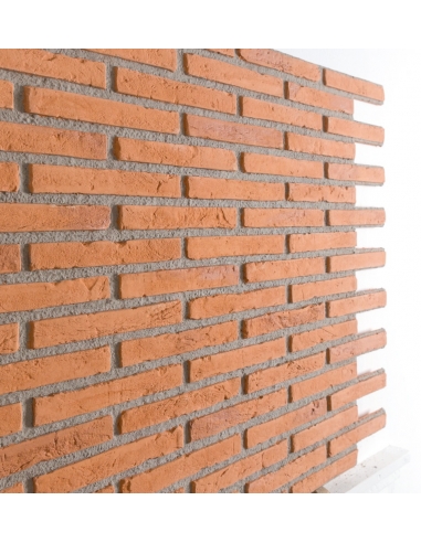 MATTONCINO ROMANO - esaem.it