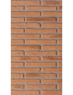 MATTONCINO ROMANO - esaem.it