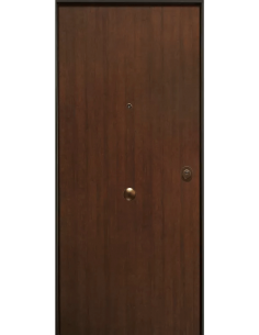 Portone blindato BASIC