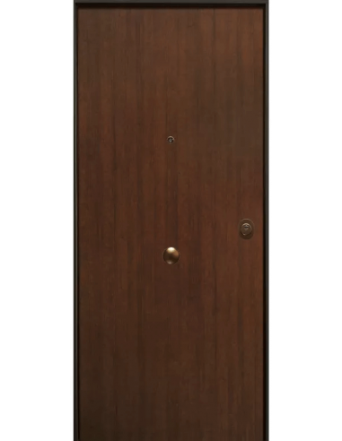 Portone blindato BASIC