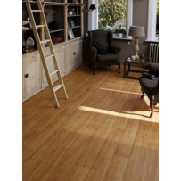 Vendita online pavimento vinilico Top Extra in PVC - pavimenti in PVC e linoleum - ai prezzi più bassi d'Italia ! - eSAEM.it