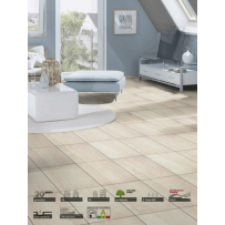 Vendita online pavimento in laminato flottante Impressions AC4 8 mm - ai prezzi più bassi d'Italia! - eSAEM.it