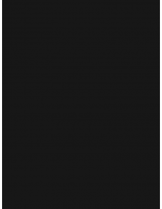 Vendita online pavimento in Gomma Civile liscia a tinta unita - pavimenti in gomma - ai prezzi più bassi d'Italia ! - eSAEM.it