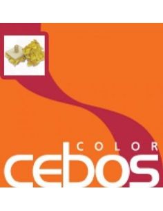 Tampone da cm 13x13 - eSAEM.it