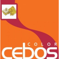 Tampone da cm 13x13 - eSAEM.it