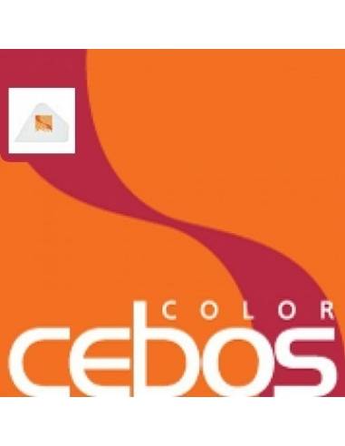 Spatola plastica sagomata - eSAEM.it