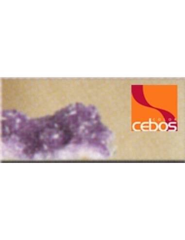 Cartella CeboSi Riflessi - eSAEM.it