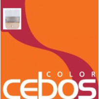 Pennello Rain - eSAEM.it