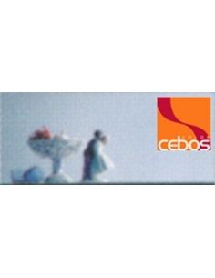 Cartella CeboTop + Finitura metallizzata - eSAEM.it