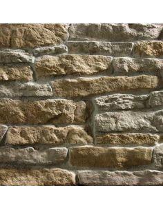 Colorazione miscelata CHIARA L AC 13