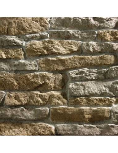 Colorazione miscelata CHIARA L AC 13