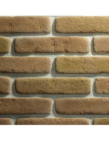 Colorazione OCRA L CA 01