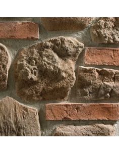 Colorazione base NOCE