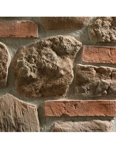 Colorazione base NOCE