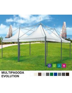 Multipagoda Evolution