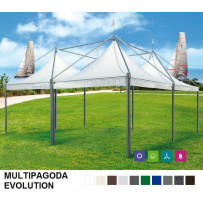 Multipagoda Evolution