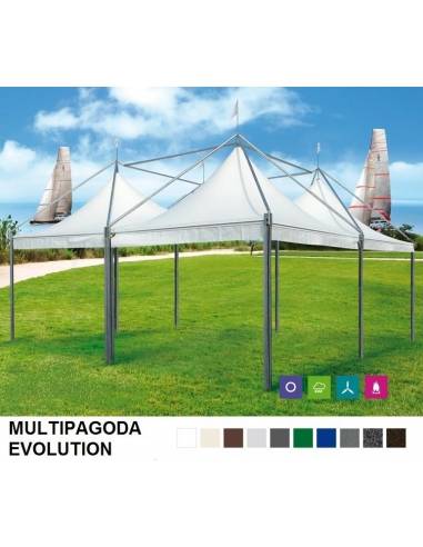 Multipagoda Evolution