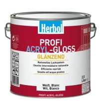 PROFI ACRYL GLOSS - eSAEM.it