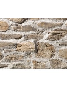 ANGOLO SPONTANEO MONIGA P31