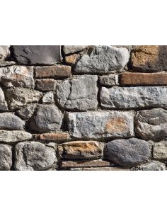 SPONTANEO CONTADINO P70