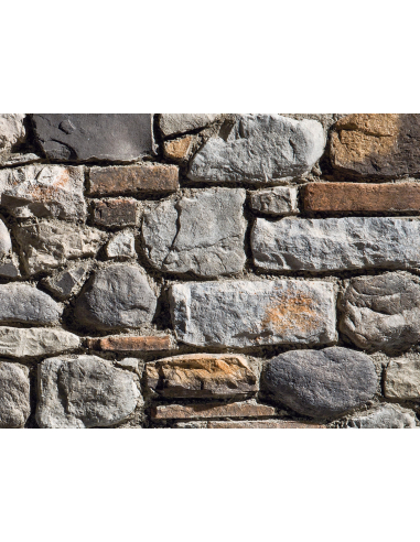 SPONTANEO CONTADINO P70