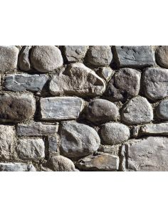 SPONTANEO MORENICO P74