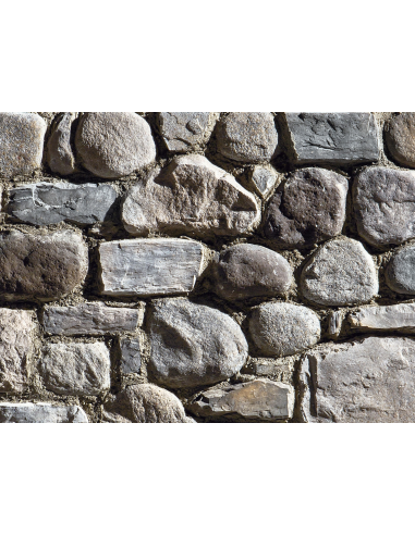 SPONTANEO MORENICO P74