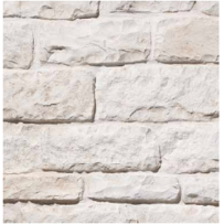 Pannello Isolante "Tibet" a incastro - eSAEM.it