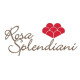 ROSA SPLENDIANI