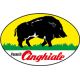 PENNELLI CINGHIALE