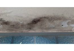 Umidità di risalita. Sale sulle pareti. Antisalnitro