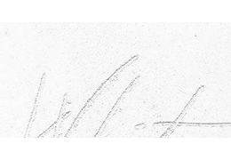 White. Il Bianco Oikos, la pittura ecologica che arreda.